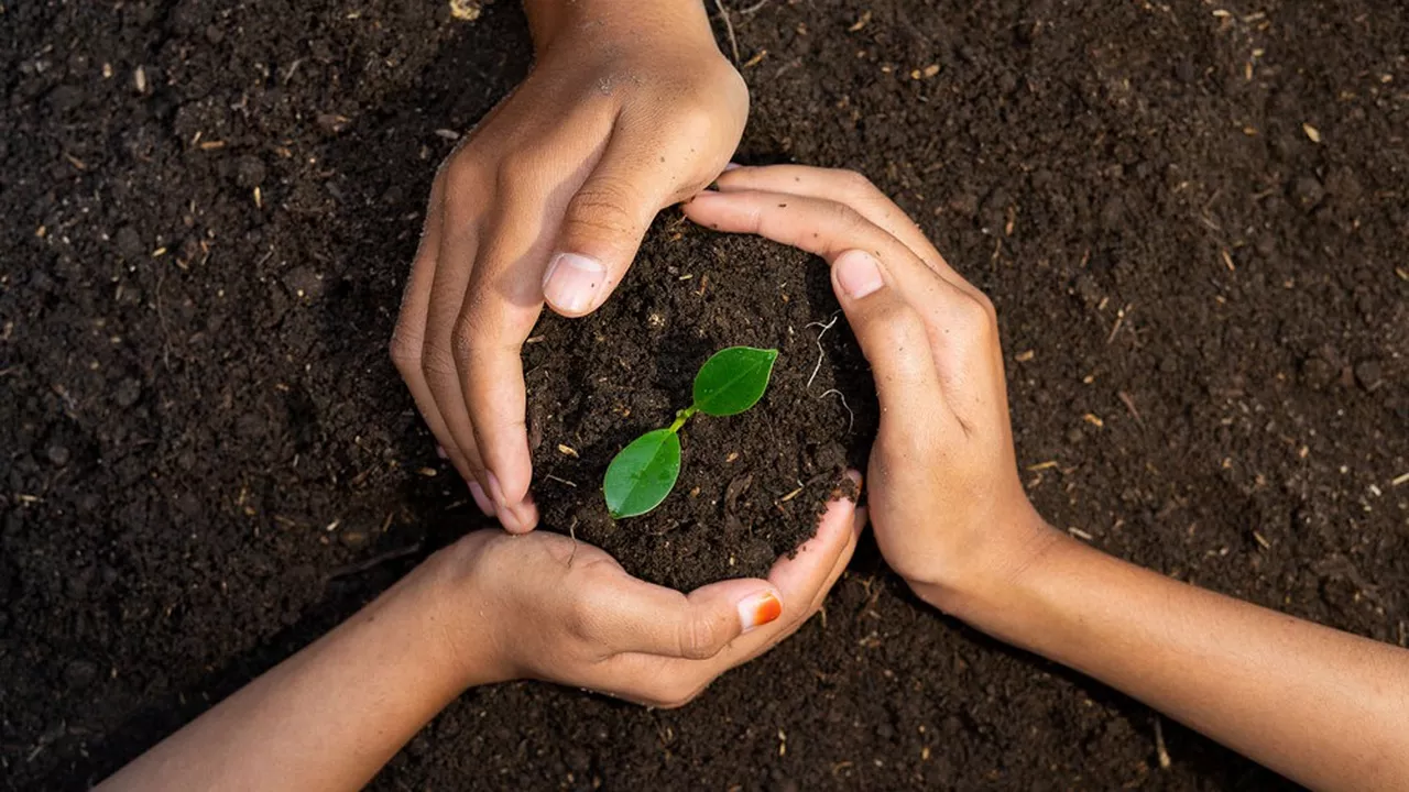 article trois urgences